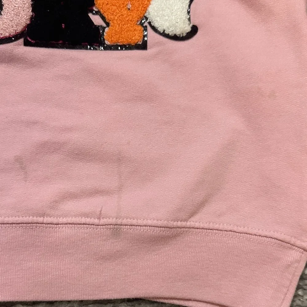 Rabbit skins girls Pink Kids Halloween Sweatshirt with chenille appliqué 2